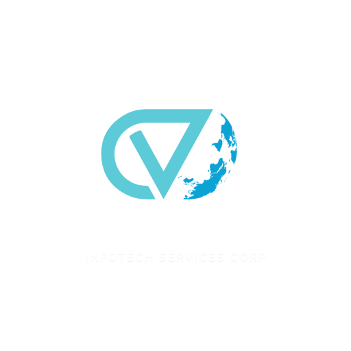 cvitsinc.com